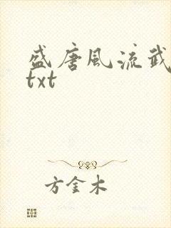 盛唐风流武状元txt