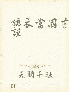 锦衣当国有声小说