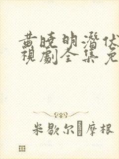 黄晓明潜伏者电视剧全集免费观看