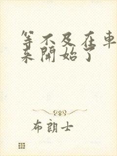 等不及在车里就来开始了