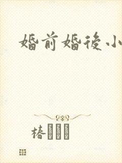 婚前婚后小说