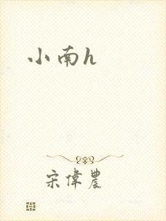 小南h