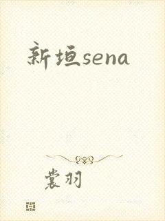 新垣sena
