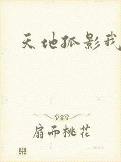 天地孤影我独行