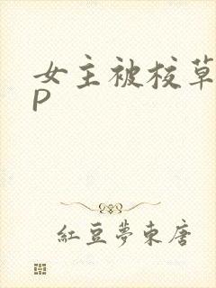 女主被校草们NP