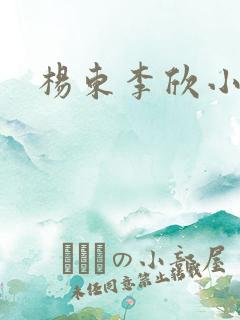 杨东李欣小说