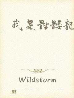 我是骷髅龙骑兵