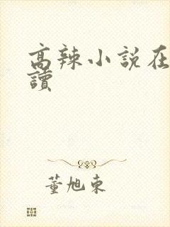 高辣小说在线阅读