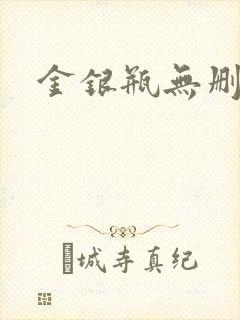 金银瓶无删除