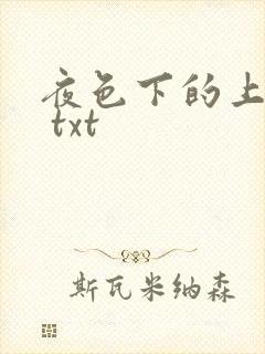 夜色下的上海滩 txt