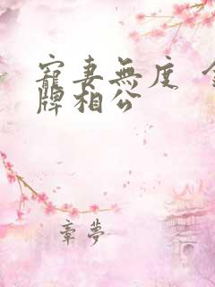 宠妻无度  金牌相公