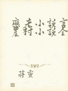 恋老小说言情网农村小说全文阅读