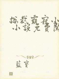 总裁霸宠小娇妻 小说免费阅读