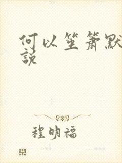 何以笙箫默 小说