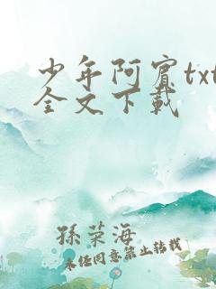少年阿宾txt全文下载