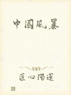 中国风暴