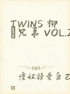 TWINS 柳澤兄弟 VOL.2