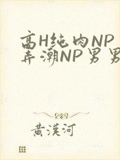 高H纯肉NP 弄潮NP男男