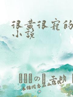 很黄很宠的总裁小说