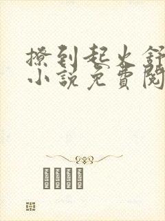 撩到起火舒漾的小说免费阅读全文