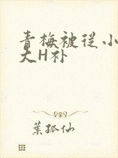 青梅被从小摸到大H补