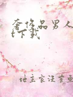 奢侈品男人txt下载