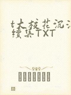 t大校花沉浮录续集TXT