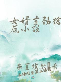 女婿有劲枪枪到底小说