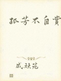 孤芳不自赏小说