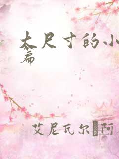 大尺寸的小说短篇