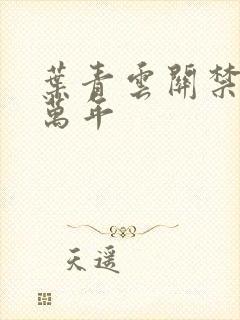 叶青云关禁闭一万年