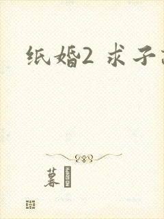 纸婚2 求子记