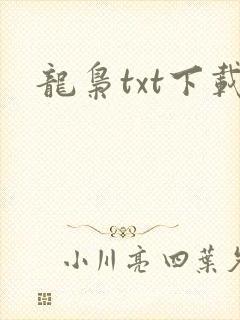 龙枭txt下载