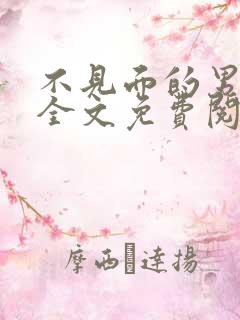 不见面的男朋友全文免费阅读