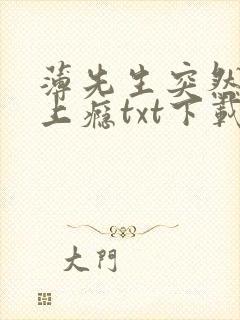 薄先生突然黏她上瘾txt下载