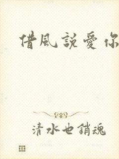 借风说爱你