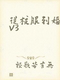 从校服到婚纱1V3