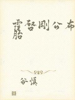 霍启刚公布龙凤胎