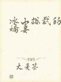 冰山总裁的掠爱娇妻