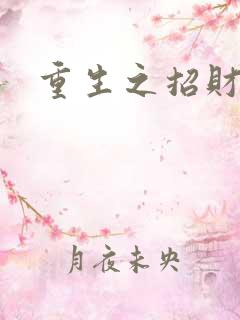 重生之招财进宝