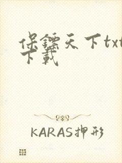 保镖天下txt下载