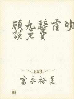 顾九辞霍明澈小说免费