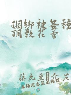 捆绑被各种工具调教花蒂