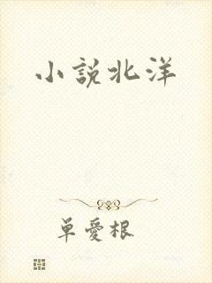 小说北洋