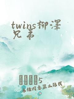 twins柳泽兄弟