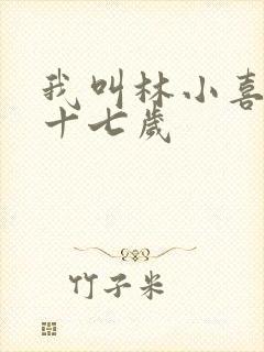 我叫林小喜今年十七岁