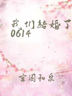 我们结婚了130614