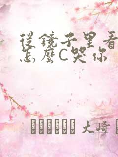 从镜子里看我是怎么C哭你