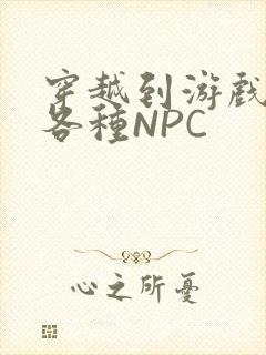 穿越到游戏里和各种NPC