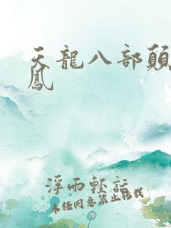 天龙八部颠龙鸾凤